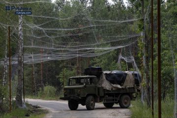 Процесс создания многокилометровых «анти-дроновых тоннелей» на незаселенной украинской территории Чернобыльской зоны отчуждения на границе с Республикой Беларусь