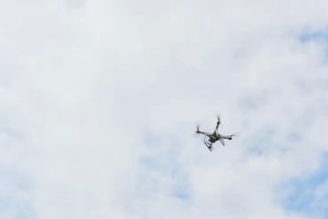 �������� ������: ������ ����������� ���������� �� ���������� ���� � ���� �������