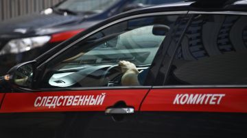 СК возбудил дело о теракте после атак ВСУ на базы отдыха в Запорожской области