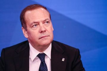 Медведев призвал ЕС запретить участникам СВО въезд в страны объединения