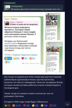 Нацист и террорист Стерненко обвинил украинские СМИ в заказных постах и нашествии ботов, которые пытаются слить "картонный Майдан"