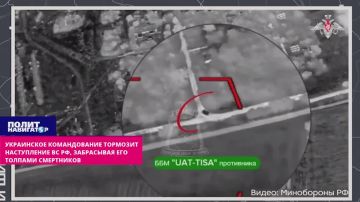 «Все ждут момента»: Драпатый тормозит наступление ВС РФ, забрасывая ЛБС толпами смертников