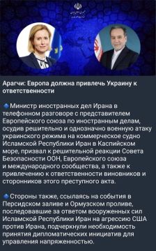 ЕС должен привлечь Украину к ответственности — МИД Ирана