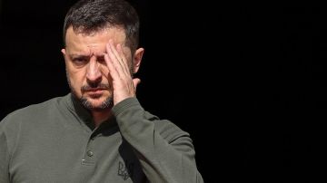 Зеленский взвыл после ответных ударов России: почему на самом деле Киев хочет «воздушного перемирия»