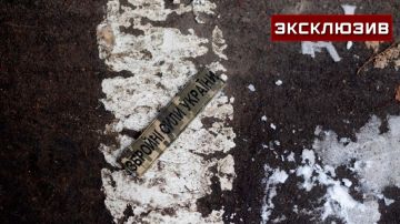 Экс-нардеп Украины: никакой альтернативы насильственной мобилизации у Киева нет