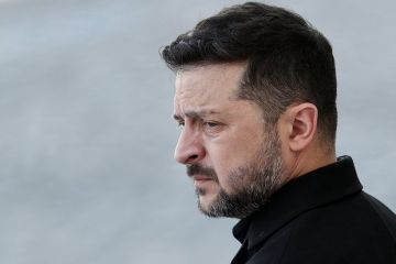 Сенатор Перминова: В своей бесконечной лжи Зеленский давно стал напоминать Пиноккио