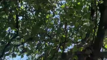 ���������� � �������� �� ����� � �������� ����������� �������