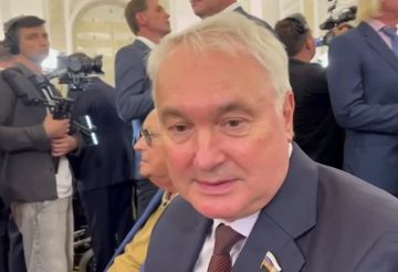 «Перебрал с дозой на выходных»: в Госдуме ответили на заявления Зеленского о новой мобилизации в России