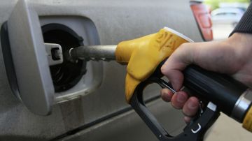 На Украине сложилась критическая ситуация с АЗС. Новости СВО