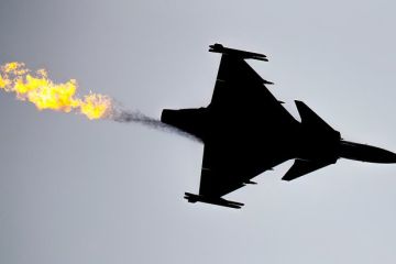 ��������: � �������� ����� ������ ������������ Gripen ��� �������� �������