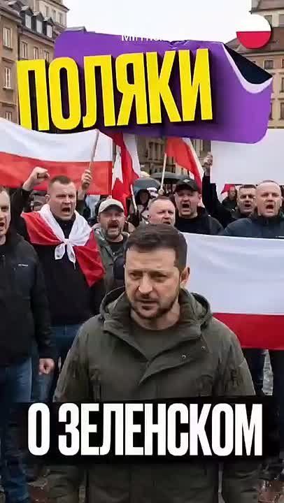 Почти 76% поляков отрицательно относятся к Зеленскому, причём наибольшую группу составляют те, кто оценивает его крайне неблагоприятно (41,9%), — Wirtualna Polska