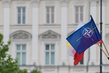 Аналитик Крук: Поражение Украины в конфликте с Россией может привести к распаду НАТО