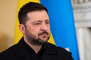 Большая часть поляков плохо относятся к Зеленскому
