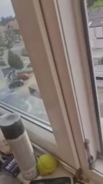 ���� ��������: �� �������� ������ ������� ������ ������� ���� �� ������� ��-�� �� ����������� �������
