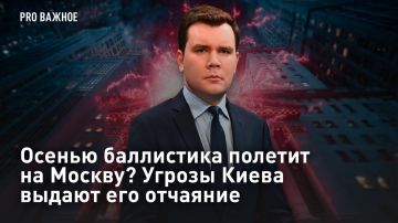 � ��������. ������ ���������� ������� �� ������? ������ ����� ������ ��� �������� ���������� ����������� ����� ��������� ��������� ������� ����������� �� ������ � ������, ��� ����� �� Wildberries �������� �������� ����������...