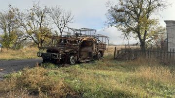 �������� �������� ���� �����: ���������� ������� ���� � ������� ���������� �����