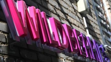 � ������� ������� ������� ���� ���� ����� �� Wildberries: ����������� �� ������� ������