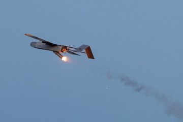 �������-����� �������: ��� ����� ��������� �������� �������� ���� ���������