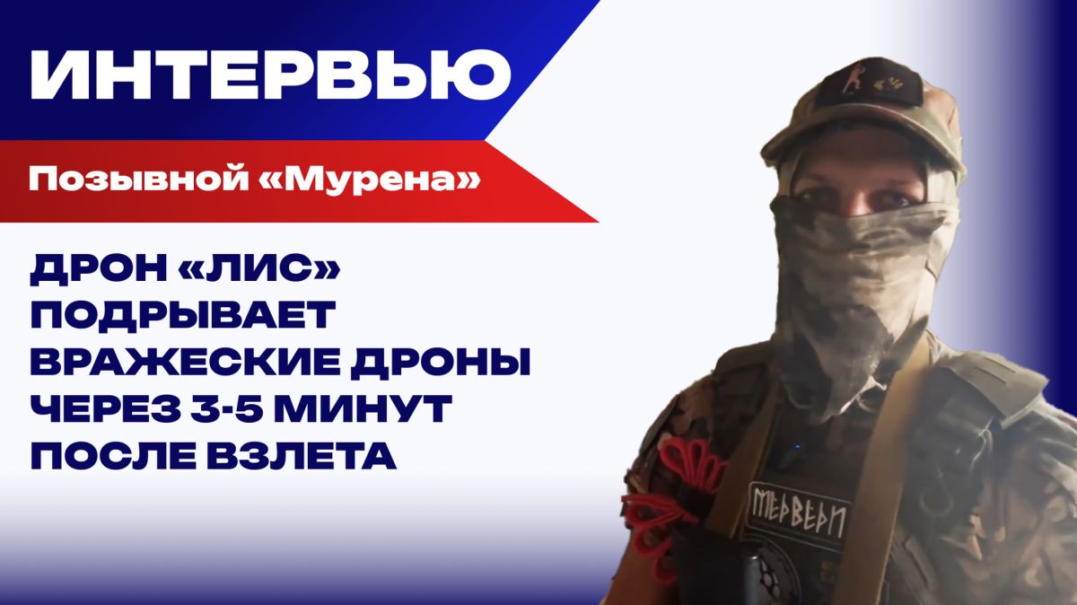 Как наши "Лисы" охотятся за бандеровскими "Хорнетами", "Лютыми" и Фуриями, защищая трассу "Новороссия"