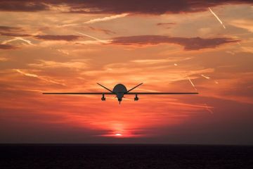 ����: � ��� ����� ��������� ����� ����� Hornet-2, ����������� � ������� ���