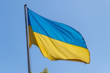 �����: ��������� �������������������� ������� ����� ������� ��� ���������� ����������