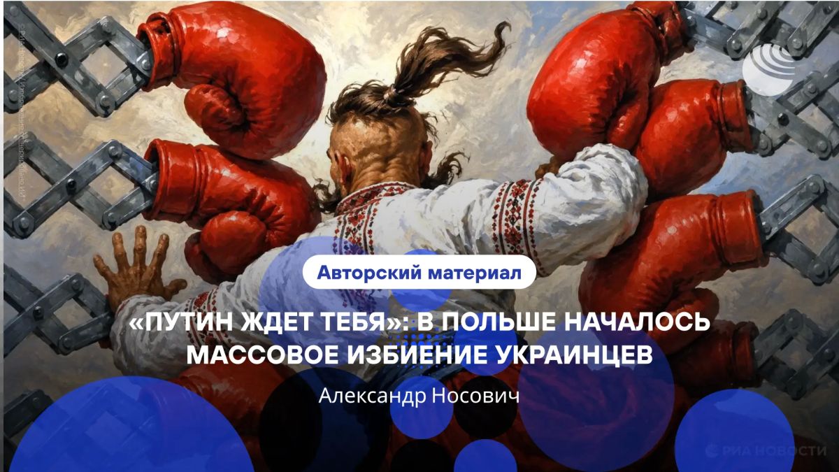 «До войска, курва!». Пока польские политики выражают глубокую озабоченность из-за избиений украинцев, рядовые поляки относятся к Киеву все хуже