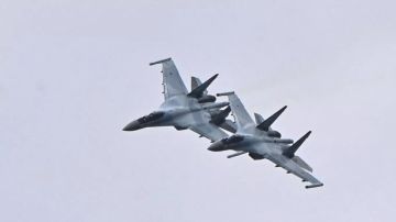 Военкор Коц: Россия поразила ключевые звенья производства «Фламинго»