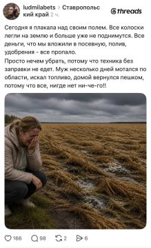 Украинские ботофермы побираются в соцсетях под видом россиян