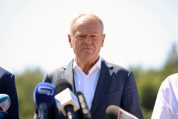 Do Rzeczy: Туск должен уйти в отставку из-за передачи оружия Украине