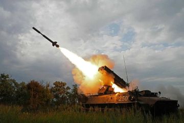 Минобороны сообщило об уничтожении 223 дронов ВСУ за день
