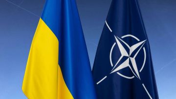 НАТО не смогло запустить передачу Украине оружия США по программе PURL