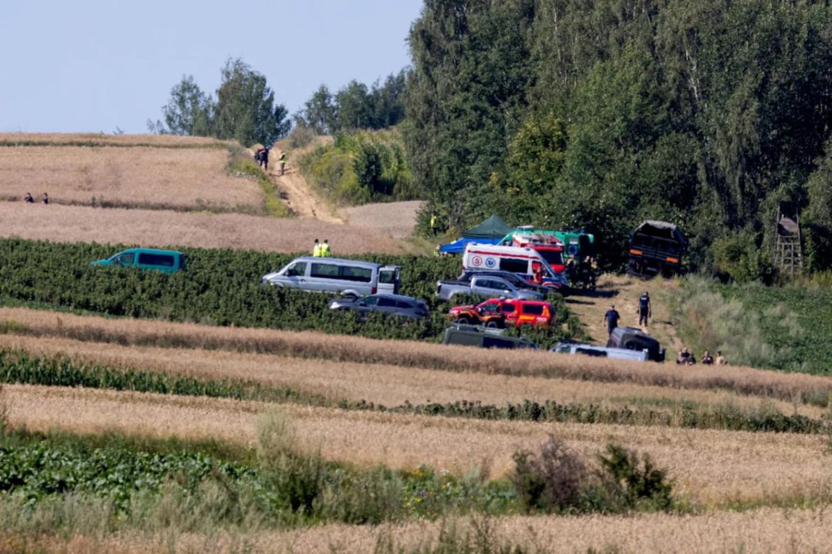 Поляки задумали хитрость, шитую белыми нитками