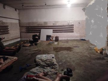 В ВСУ появились «карательные ямы», расстрельные отряды и «дерево правды» с розгами