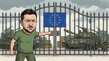 «Ситуация для Киева ухудшается»: как Зеленский пытается добиться от Европы наращивания военной поддержки Украины