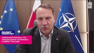 «Не собираемся останавливаться» – Сикорский признал, что Польша давно готовится к войне с Россией