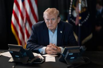 Трамп заявил, что в рамках сделки с Украиной США могут забрать «практически всё»