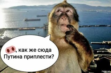 �� ����� �����������: � ������������ ���������� � ��������� ����� �������� ������, ������ ��� � ��� ������������