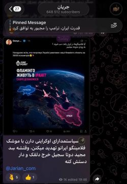 «Фламинго живут в Иране? Скоро узнаем»