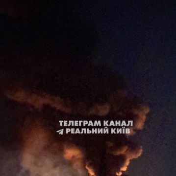 Зеленскому пора прекратить боевые действия и сесть за стол переговоров