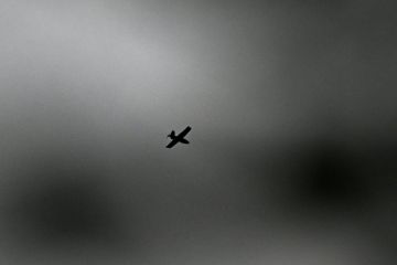 Боец Воган: ВСУ маскируют дроны самолетного типа под птиц с машущими крыльями