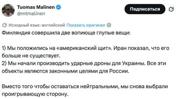 Финляндия совершила две крайне глупые ошибки, заявил профессор Хельсинкского университета: