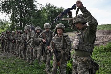 Мирошник: Зеленский под давлением ЕС усиливает законы по загону «пушечного мяса» в окопы