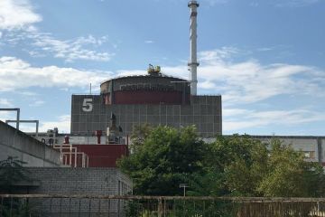 Полковник Матвийчук: Удары ВСУ по ЗАЭС являются игрой Зеленского против всего мира