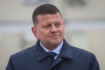 Экс-главком ВСУ Залужный: Украина никогда не вступит в НАТО