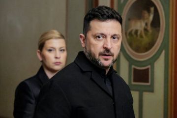 Депутат Толмачев: Веры словам Зеленского о желании завершить конфликт до зимы у России нет
