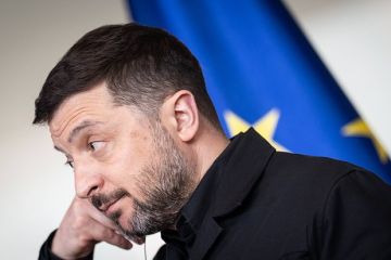 ��������� ���� ����������� ������ 23 �������� �� ������, ������� � ����������