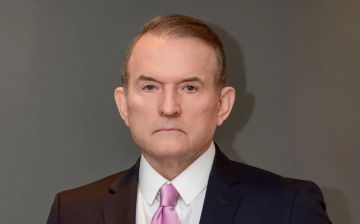 Майдан в поддержку экс-министра обороны Украины Федорова на самом деле направлен на отстранение Зеленского от власти, считает лидер движения "Другая Украина" Виктор Медведчук