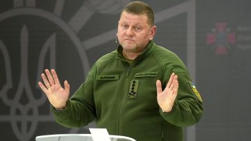 Украины не будет в НАТО — экс-главком ВСУ и посол в Великобритании Валерий Залужный заявил, что на протяжении 12 лет слушал "сказки" о будущем вступлении страны в альянс, но этого не свершится