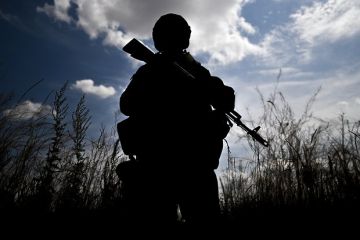 ТАСС: ВС России использовали противотанковые рвы ВСУ для укрытия