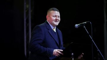 Залужный заявил, что Украина никогда не сможет вступить в НАТО
